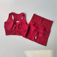 Ensemble de Yoga sans couture pour femmes, 2 pièces, soutien-gorge de Sport Sexy, taille haute, short de Sport, Fitness, sans manches, costume d'entraînement, vêtements de Sport