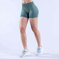 Shorts de yoga pour femmes, sans couture, taille haute, séchage rapide, haute élasticité, effet push-up, color block, pour la gym, le fitness et la course à pied